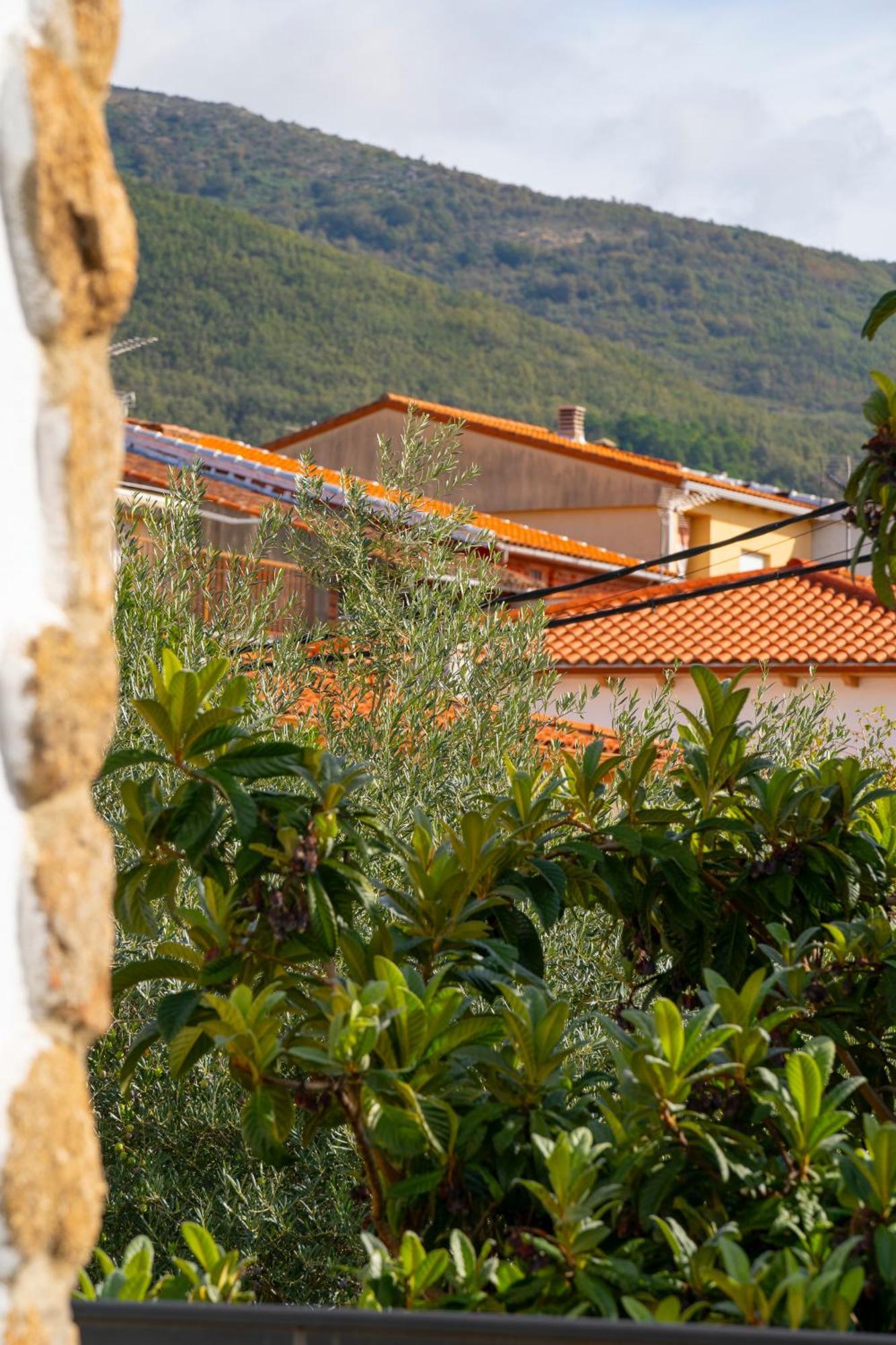 At San Miguel O Apartment Jarandilla de la Vera Exterior photo
